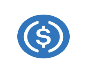 USDC (ERC20)
